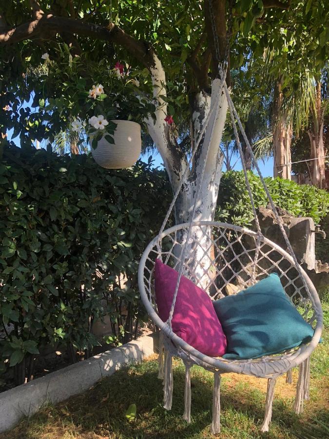 B&B Green Oasis Pompei Exterior foto
